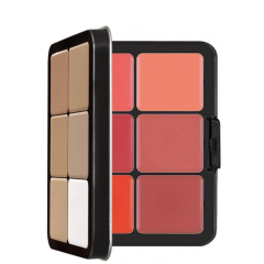 Palette of 12 colors of concealer and blushes